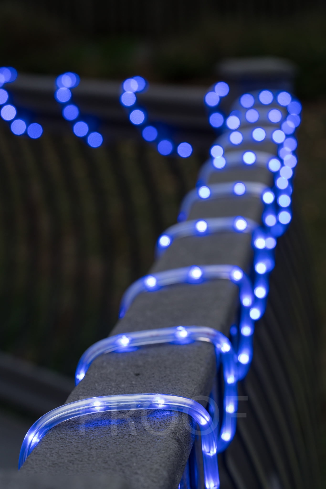 Blue led rope 2024 lights 120 volt