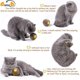 thumbnail image 2 of Juguete de bola de hierba gatera - Bola rascadora recargable para gatos - El fiel compañero de juegos de Kitty - Ayuda a reducir la obesidad y la soledad - Marrón, 2 of 5