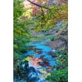 thumbnail image 2 of Perry, William 17x24 White Modern Wood Framed Museum Art Print Titled - Autumn Colorful Leaves Reflection-Bellevue-Botanical Garden-Washington State, 2 of 4