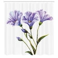 thumbnail image 3 of Ambesonne Flower Shower Curtain, Romantic Summer, 69"Wx84"L, White Violet Green, 3 of 5