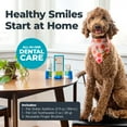 thumbnail image 4 of Oxyfresh Premium Pet Dental Kit, Easy Dog & Cat Fresh Breath & Teeth Cleaning Solution, Vet Formulated Toothpaste 1oz, Water Additive 3oz, & 3 Brushes, 4 of 10