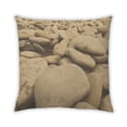 thumbnail image 1 of Ahgly Company Indoor Square Contemporary Throw Pillow, 18 inch by 18 inch, 1 of 5
