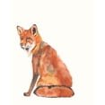 thumbnail image 2 of Goldberger, Jennifer 20x24 White Modern Wood Framed Museum Art Print Titled - Sly Fox II, 2 of 4