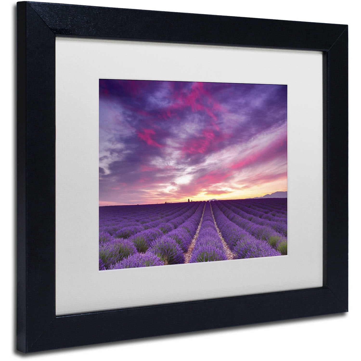 Trademark Fine Art 'Pink and Purple' Canvas Art by Michael Blanchette Photography, White Matte, Black Frame