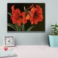 thumbnail image 4 of Epic Graffiti 'Amaryllis' by Christopher Pierce, Canvas Wall Art, 16"x12", 4 of 8