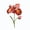 B, variant on Tuscom Artificial Bearded Iris Flower Realistic EVA Foam Stem Fake Plant Oil Painting Style for Home Living Room Wedding Decor