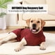 thumbnail image 3 of Traje de recuperación para perros y gatos después de una cirugía. Camisetas profesionales de recuperación para mascotas. Vendas para heridas abdominales de perros que evitan que se laman. XXS-3XL, 3 of 4