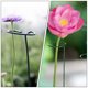 thumbnail image 4 of 10 piezas de enrejado de soporte para plantas trepadoras de interior, flores, plantas de interior, decoración exterior, arte de hierro para jardín., 4 of 6