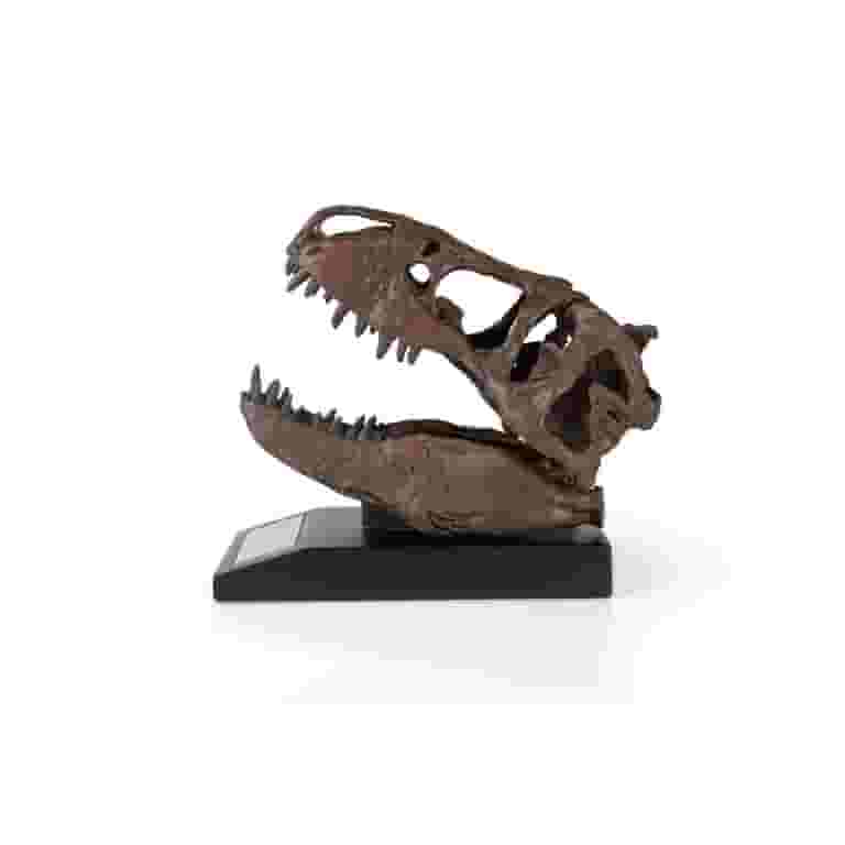 The Nation's T-Rex Skull Statue | 6-Inch Smithsonian Fossil The Nation's T-Rex Skull Statue | 6-Inch Smithsonian Fossil