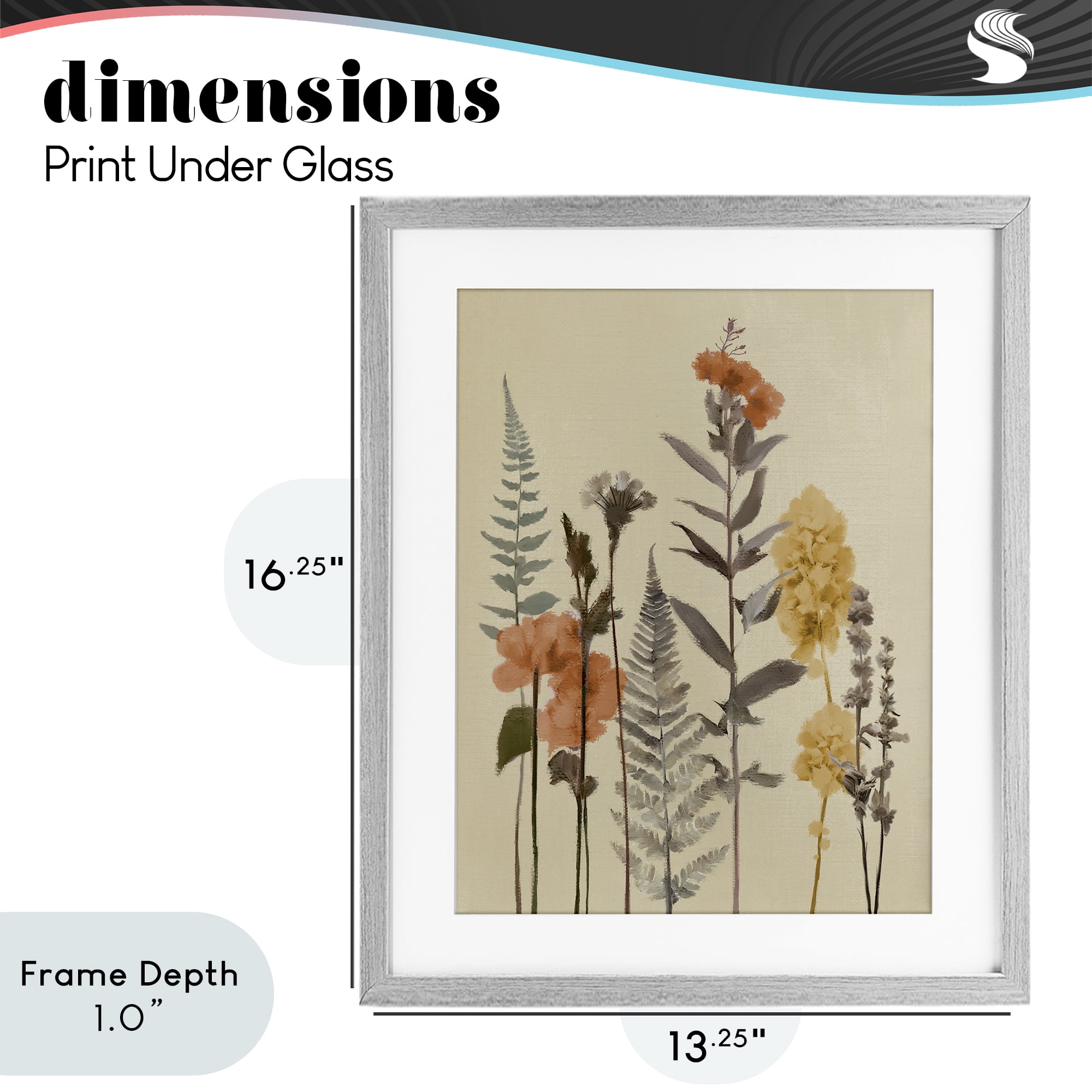 Stupell Industries Fall Botanicals Fresh Ferns Gray Framed Print Under Glass, design by Elizabeth Medley