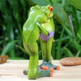 thumbnail image 4 of Divertida Decoración de ranas de resina shamjiam Estatuillas Estatua decorativa 3D de rana animal, 4 of 8