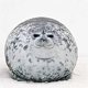 thumbnail image 3 of Chubby Blob Seal Pillow,Stuffed Cotton Plush Animal Toy, 3 of 5