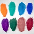 thumbnail image 5 of 10 piezas/lote de plumas de avestruz blancas para coser a mano, para vestidos, bodas, centros de mesa familiares, carnavales, plumas naturales, 5 of 5