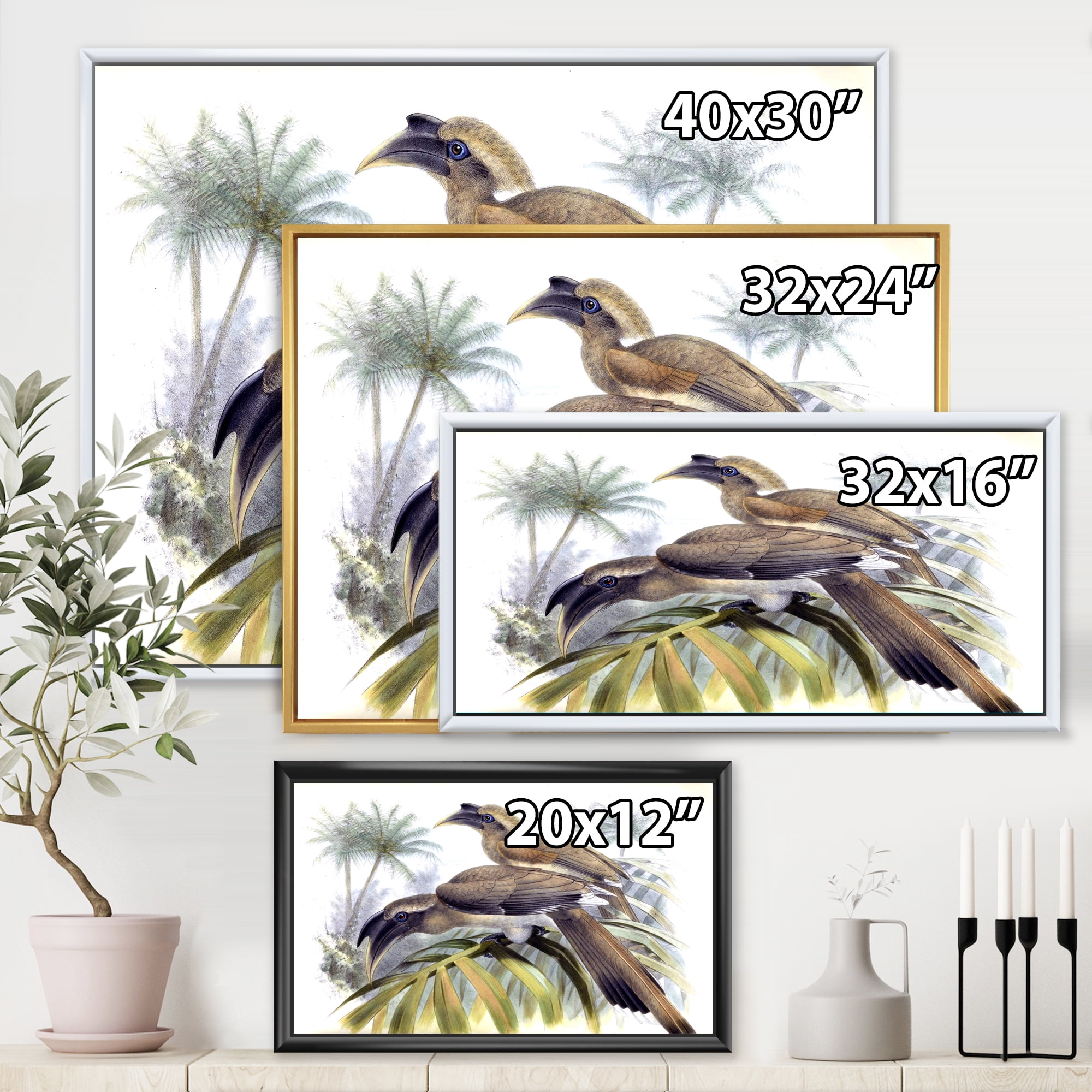 Designart 'Ancient Australian Birds XIV' Traditional Framed Canvas Wall Art Print