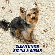Resolve Urine Destroyer Pet Urine Stain & Odor Remover Spray, 32oz (Pack of 2)