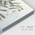 thumbnail image 3 of Botanical Society Ferns X Premium Gallery Wrapped Canvas - Ready to Hang, 3 of 9