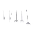 thumbnail image 4 of Kit de herramientas de limpieza de acuarios 5 en 1 Pinzas rectas Pinzas curvas Tijeras rectas Tijeras curvas Raspador, 4 of 14