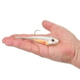 thumbnail image 2 of Berkley PowerBait® Power® Switch, 5 in, HD White Wizard, 2 of 4