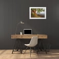 thumbnail image 3 of Jaynes Gallery 32x23 White Modern Wood Framed Museum Art Print Titled - Washington State-Holly Madrone tree next to Hood Canal, 3 of 4