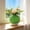 Green, variant on Two Tone Woven Texture Plastic Flower Pot with Saucer - Modern Dual Color Decorative Planter for Succulents Cactus Bonsai Small Plants, Lightweight Indoor Outdoor Home Office Desktop