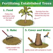 Down to Earth Palm Tree 6-2-8 All Natural Fertilizer, 5lbs
