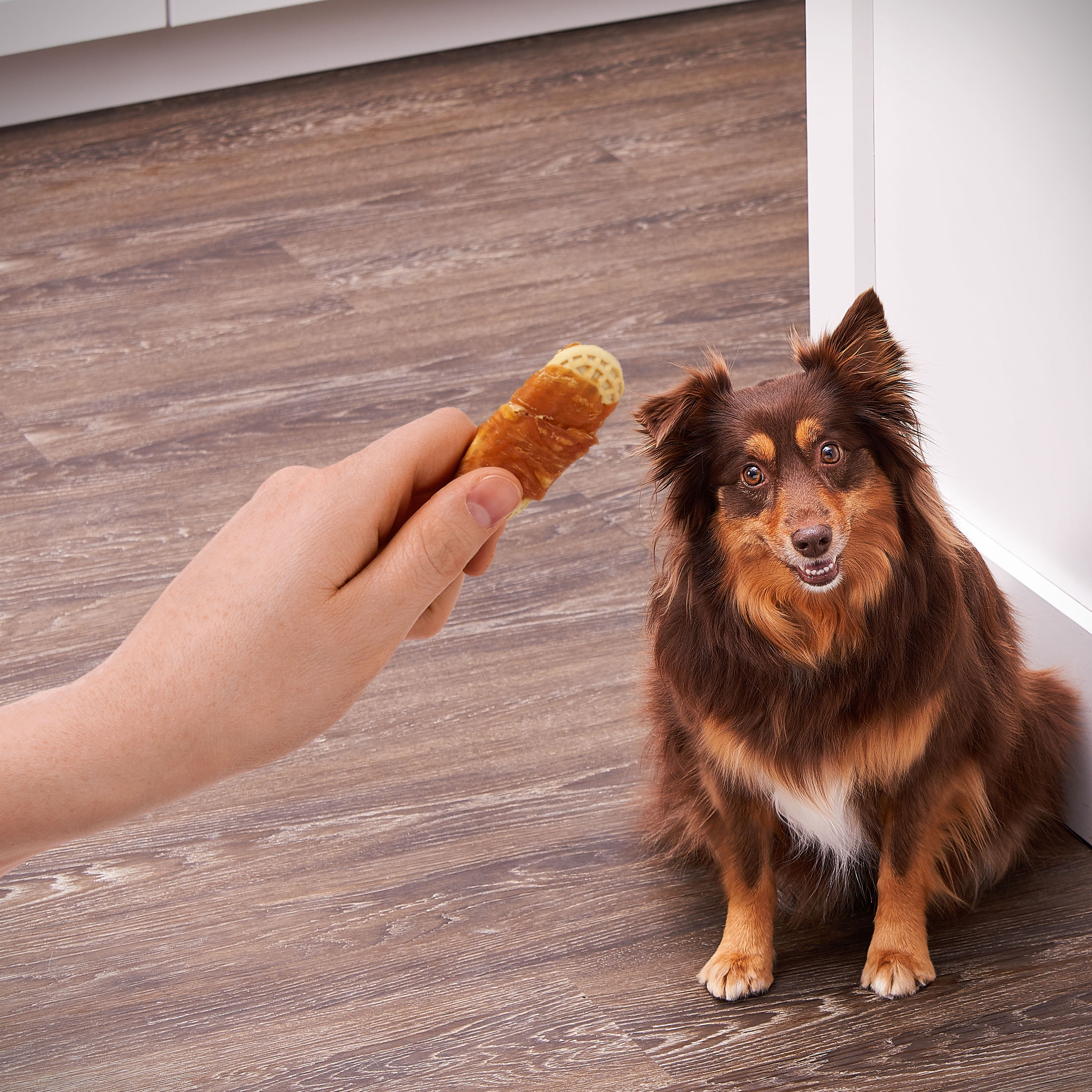 Nba Golden State Warriors Dog Treats. Delicious Basketball Shaped Cookies For Dogs & Cats. Best Dog Rewards. Natural & Healthy Dental Dog Snack. : Pet Supplies
