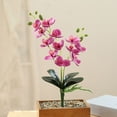 thumbnail image 6 of Visland Artificial Silk Phalaenopsis Flowers Artificial Orchid Flowers Stem Plants Fake Butterfly Phalaenopsis Flowers for Home Wedding Party Décor, 6 of 7