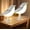 E, variant on 2PCS Small Bird Lamp, Dimmable and Cordless Bird Night Light, USB Rechargeable Touch Sensor Control Table and Desk Lamp with Aroma Diffuser Function for Bedroom