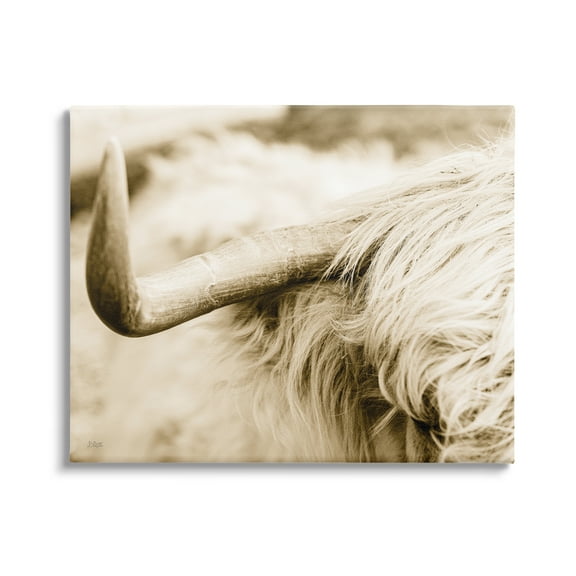 Stupell Industries Beautiful Longhorn Highland Cattle Horn Sepia Photography Photograph Gallery Wrapped Canvas Print Wall Art, Design by Donnie Quillen