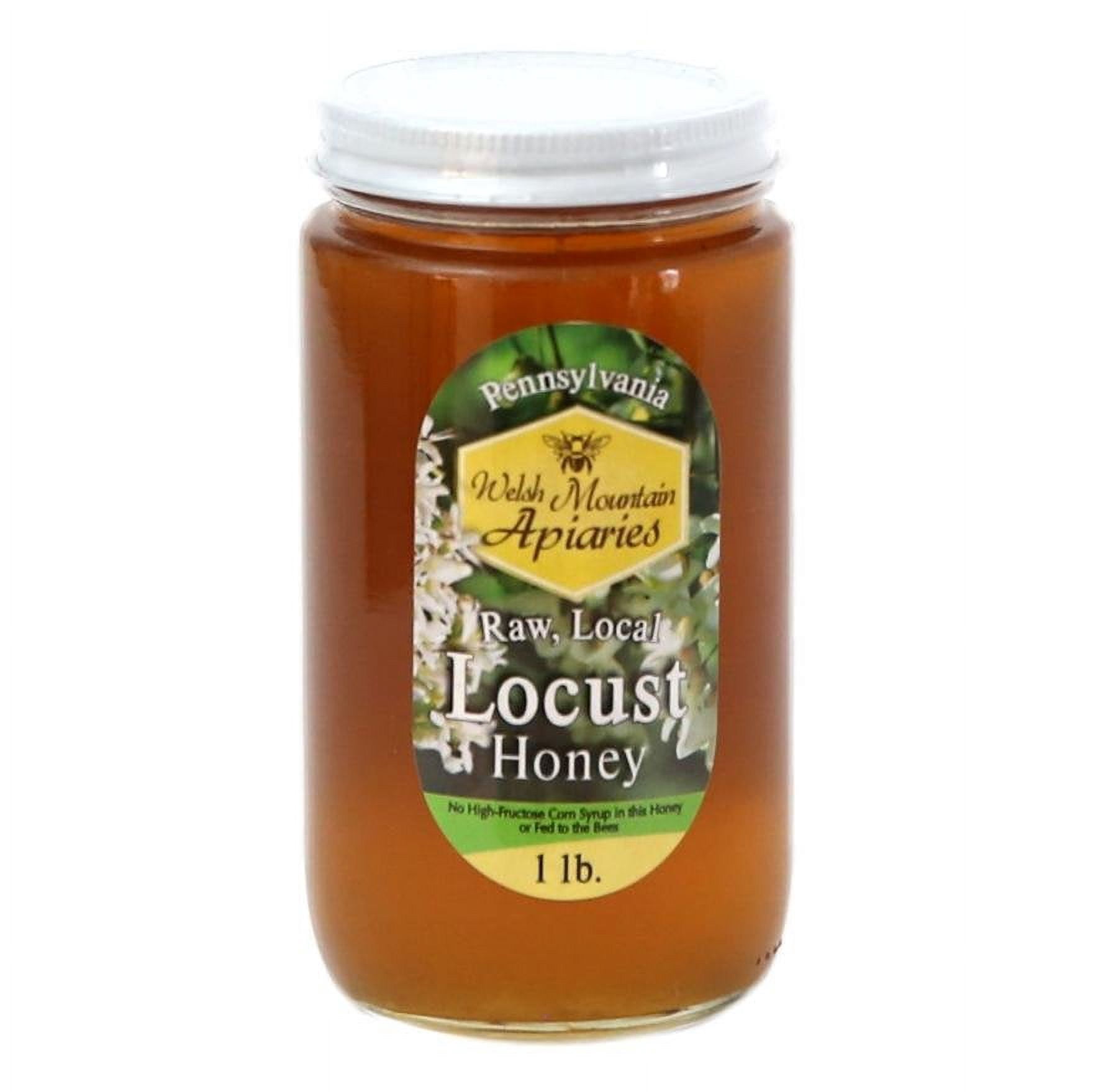 Pennsylvania Locust Honey by Welsh Mountain Apiaries, Raw and Unfiltered, Wild Forage Honey, 16 Ounce Jar