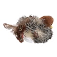 thumbnail image 1 of Juguete de Gato de Pájaro Chirring, Aliviar El Estés de la Pelea de Pájaros de Juguete de Gato Seguro para El Entretenimiento, 1 of 7