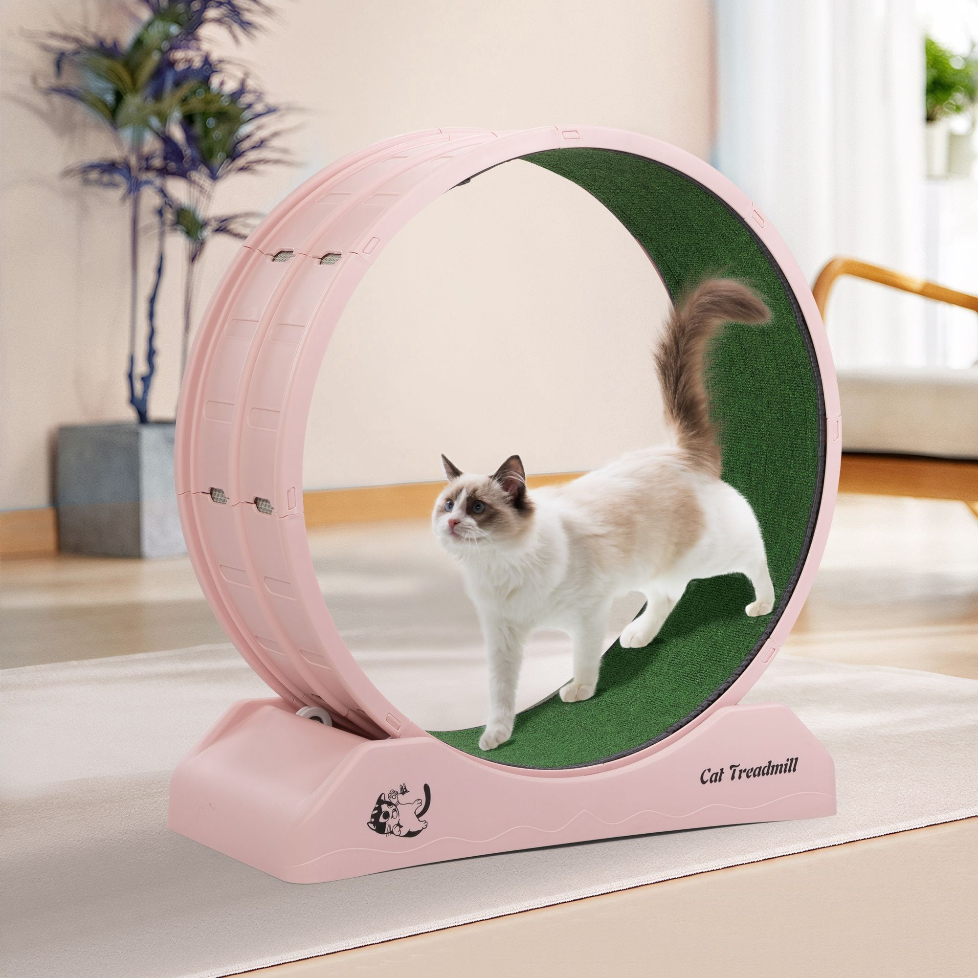Kadyn 31" Cat Exercise Wheel for Indoor Cats, Cat Running Wheel with Carpeted Runway, Cat Sport Treadmill Wheel for Kitty’s Longer Life, Pink