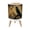 Color 4, variant on Gothic Small Trash Can with Lid Vintage Botanical Rose Glass Dome Floral 1.8 Gallon Dog Proof Trash Can Round Garbage Can Waste Bin Wastebasket for Bathroom Bedroom Living Room