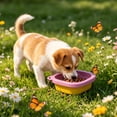 thumbnail image 2 of Qholemyo Silicone Foldable Pet Bowl Feeding Bowl Portable Pet Food Bowl With Hanging Rope For Small Pets Outdoor Use, 2 of 5