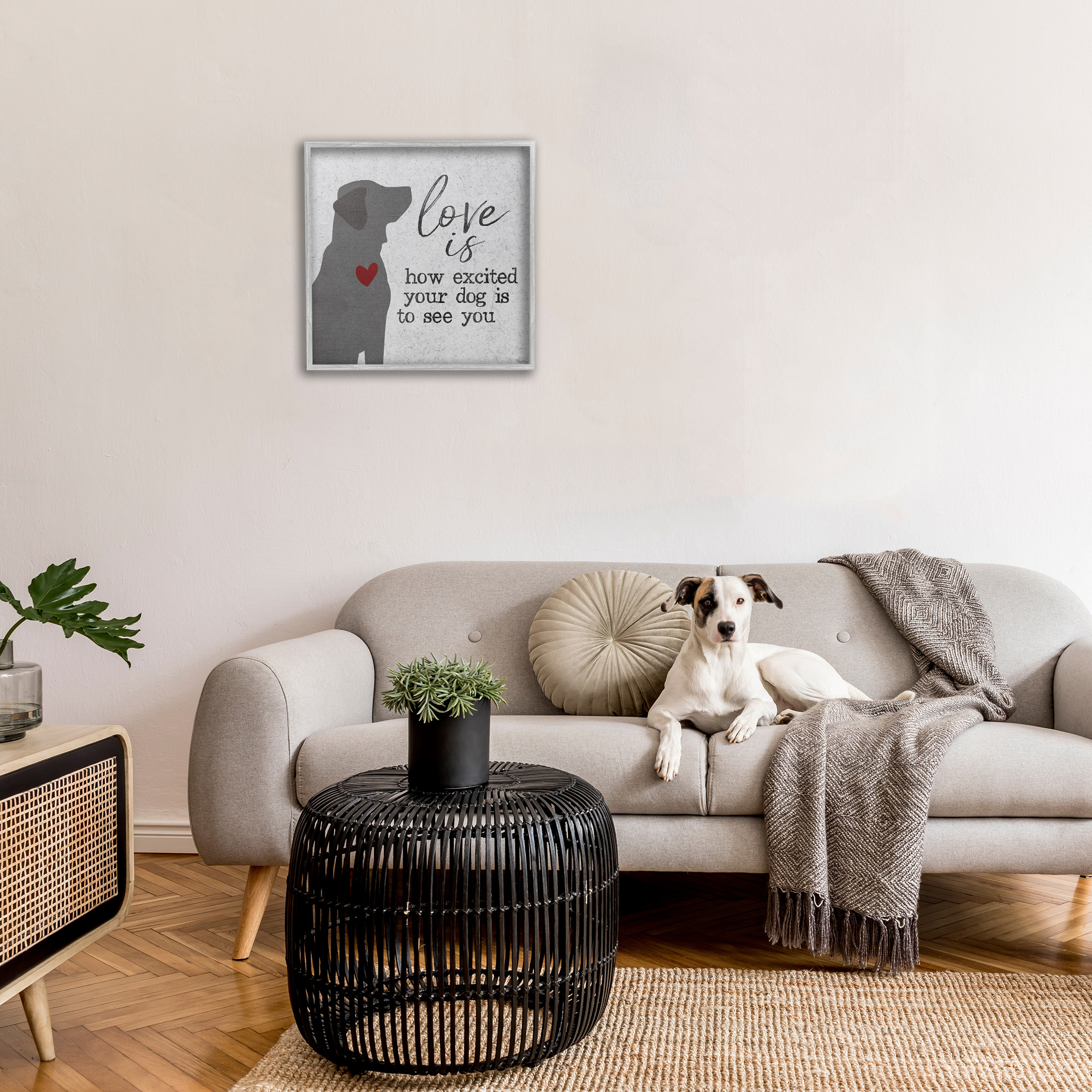 Stupell Industries Love Is Excited Dog Pet Phrase Typography Painting Gray Framed Art Print Wall Art, 24 x 24