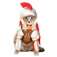 thumbnail image 2 of Gladiator Dog Costume, 2 of 2