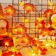 thumbnail image 5 of Guirnalda de luces LED con hojas de arce y calabazas para otoño – Funciona con pilas, ideal para decoración de Halloween en interiores y exteriores., 5 of 8