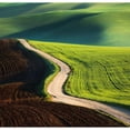 thumbnail image 3 of Browko, Krzysztof 15x15 Black Modern Framed Museum Art Print Titled - Road, 3 of 5