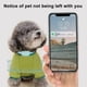 thumbnail image 4 of GPS Tracker For Small Dogs,Real-Time Pet Collar Tracker For Outdoor Cats, 4 of 5