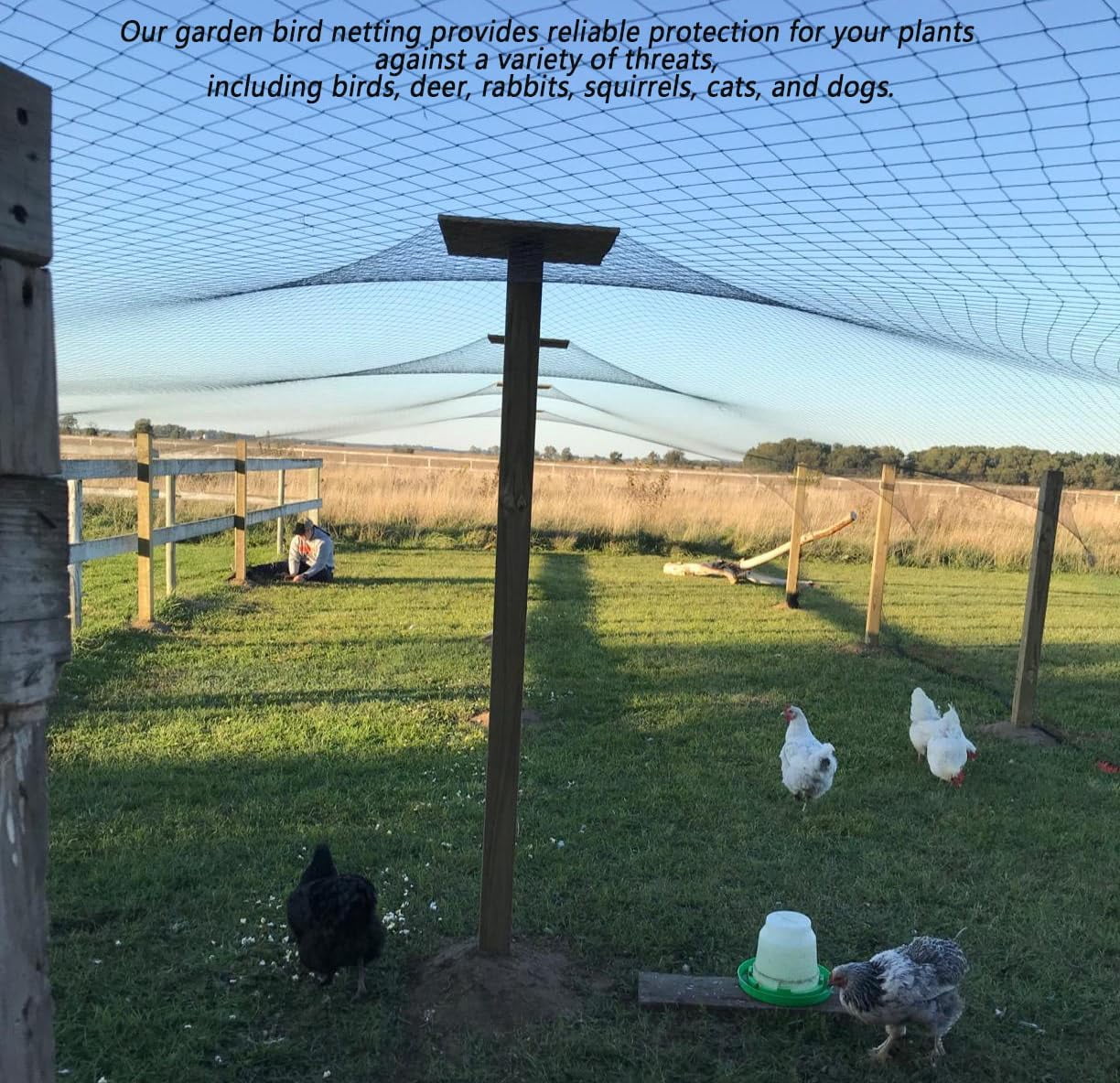 Bird Netting for Chicken Coop, 25X100FT Heavy Duty Poultry Netting for Chicken Run Roof Cover, 1In Mesh Garden Netting for Blueberry Bushes, Fruit Trees Against Bird，Hawk,Small Animals