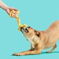 BARK Main Squeeze Cheese Dog Toy Features Super Stretch Bungee, Xs to Medium Dogs