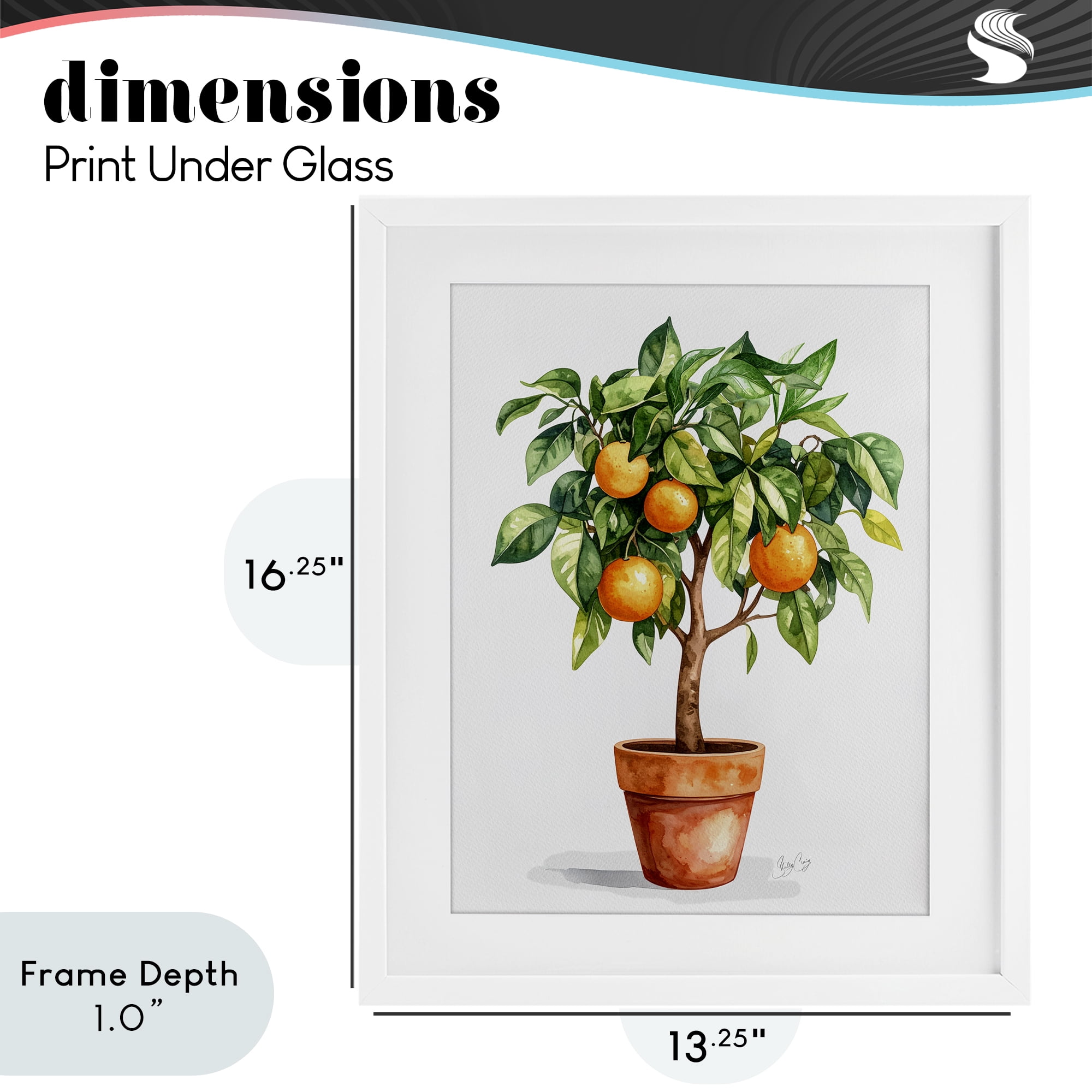 Stupell Industries Potted Orange Tree White Framed Print Under Glass, design by Shelly Craig