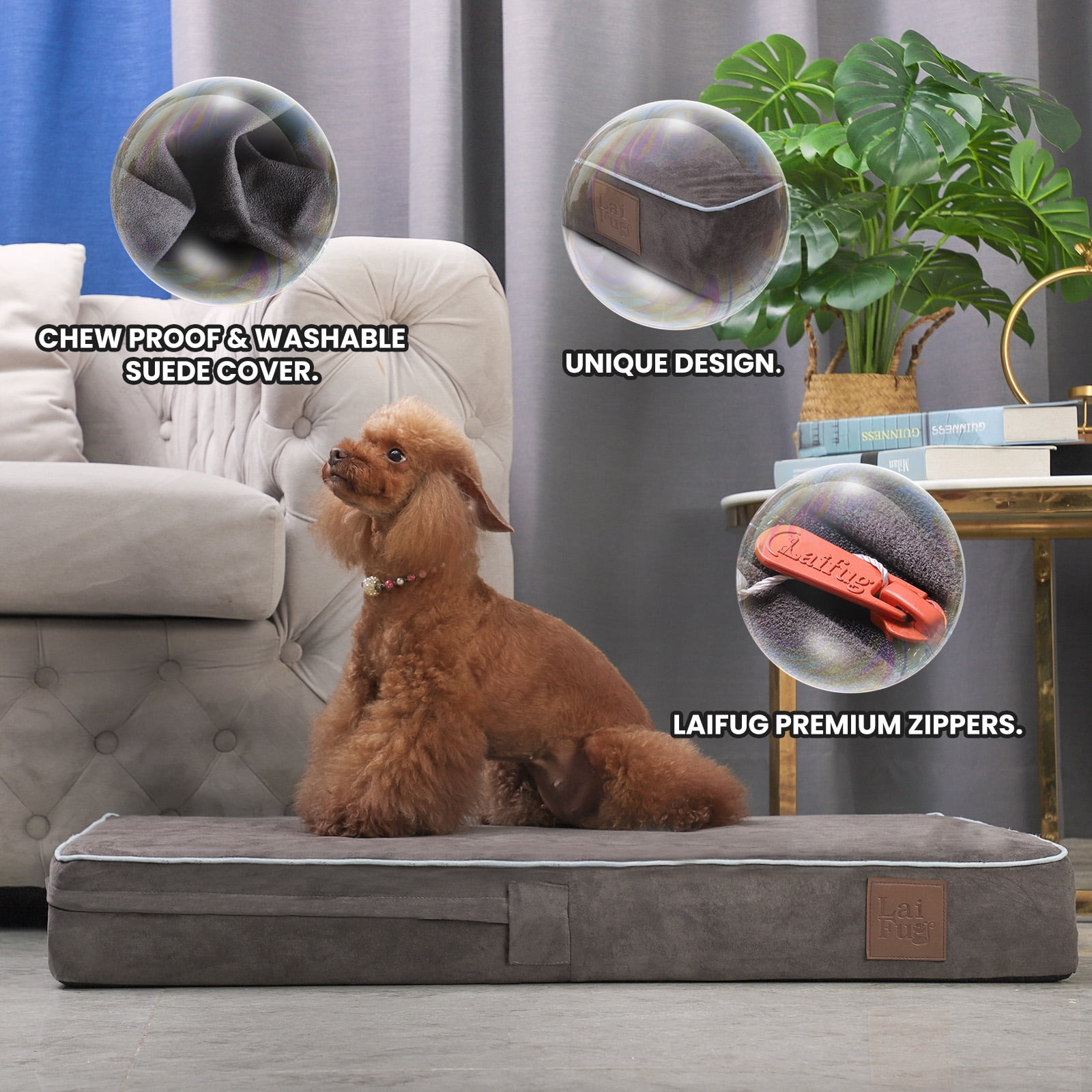 Laifug Orthopedic Dog Bed 34"x22"x4", Memory Foam Pet Bed with Waterproof Liner