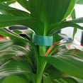 thumbnail image 2 of TFixol Gardening Gift 6 Rolls of Reusable Nylon Velcro Tape for Garden Plants, Tomatoes, Flowers or Vegetables in Elevated Beds, 10mm X 2M Green, 2 of 10