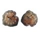 thumbnail image 1 of Relojes para colgar en la pared,Reloj digital de madera Relojes colgantes de pared de madera,Silencioso,sin ruido de tictac,decoración redonda para el hogar.,Funciona con pilas para el Estilo C Sunnimix Relojes para colgar en la pared, 1 of 8