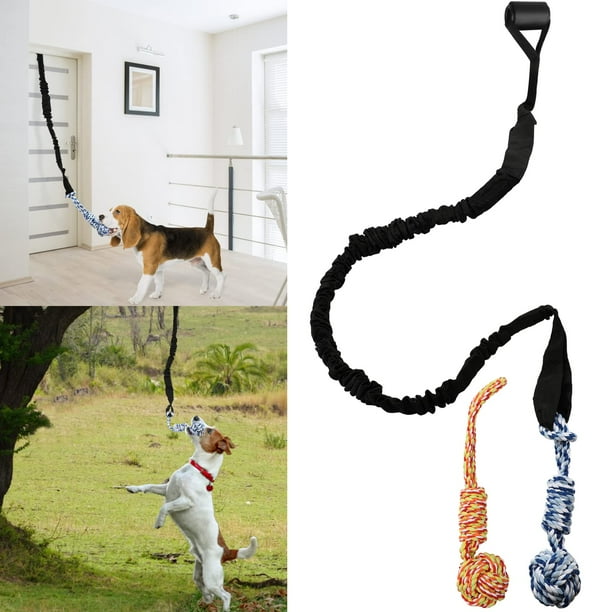 QINGFANGLI Spring Pole Dog Rope Toys Outdoor Dog Tug of War Toy for