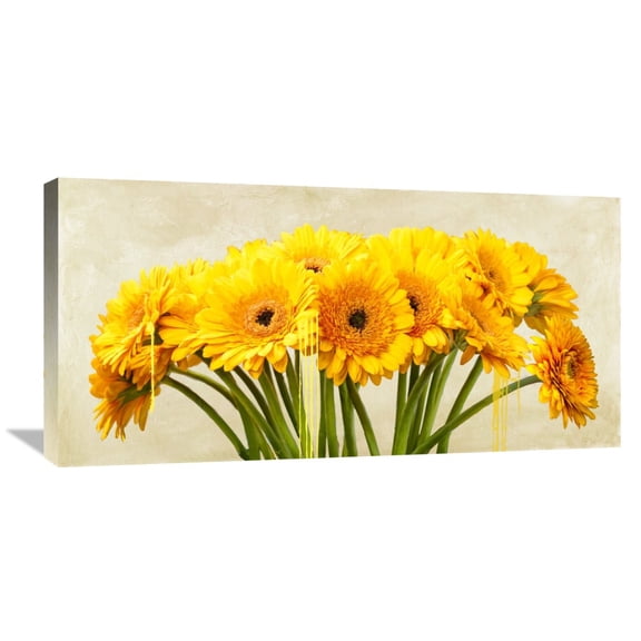 Global Gallery Alex Vinci 'Gerbera Abstraction' Canvas Wall Art