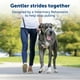 thumbnail image 2 of Collar para perro PetSafe Gentle Leader No-Pull Petite Black, 2 of 6