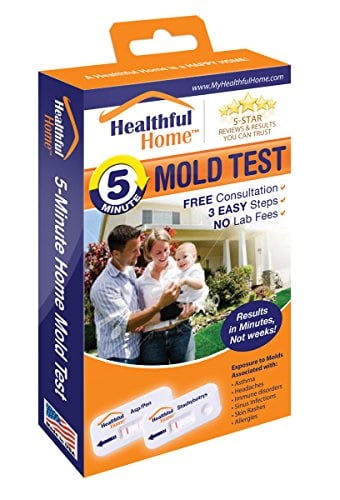 Healthful Home 5 Minute Mold Test Com - Diy Mold Test Kits Home Depot