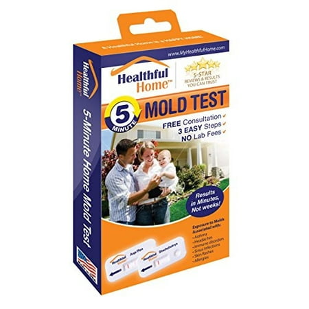 Healthful Home 5-Minute Mold Test (Best At Home Mold Test)